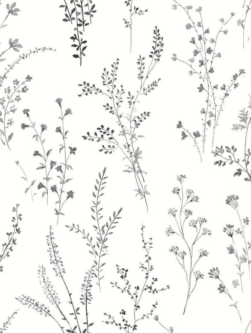 Wallpaper Farmhouse Wildflower Sprigs Black & White